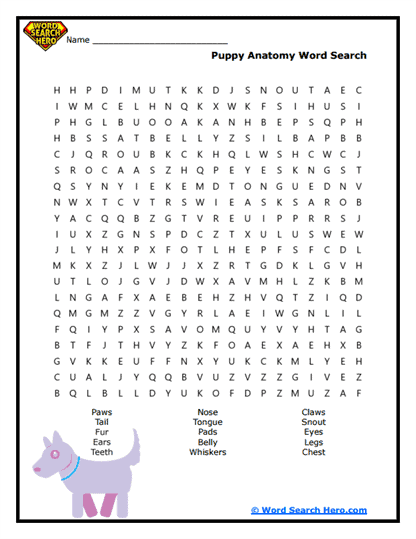 Puppy Parts Word Search