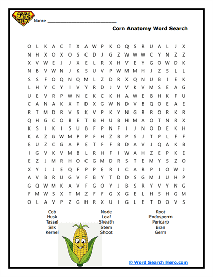 Field Corn Anatomy Word Search