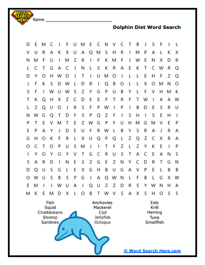 Dolphin Word Searches