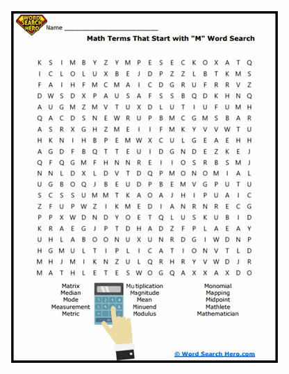 Math Matters Word Search