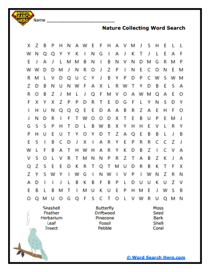 Nature Explorer Word Search