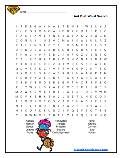 Insect Word Searches