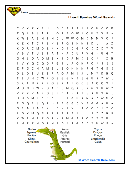 Desert Dart Types Word Search