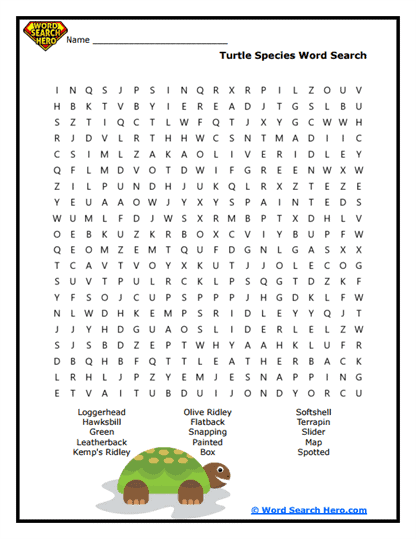 Turtle Species Word Search