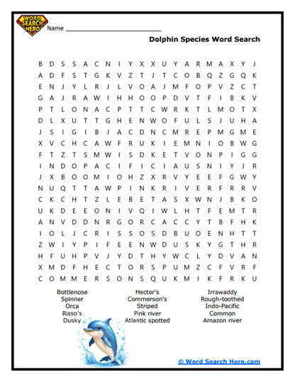 Sea Animal Word Searches