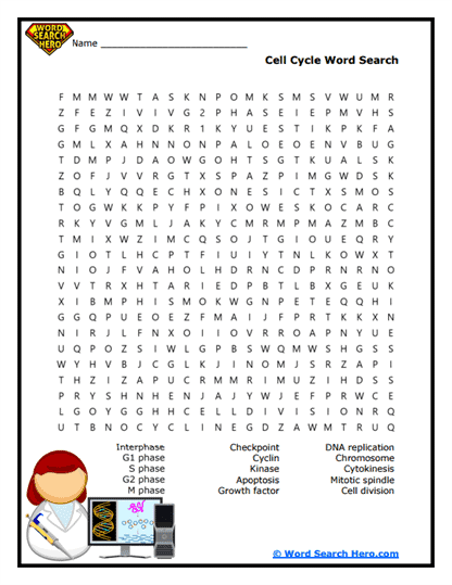 Biology Word Searches