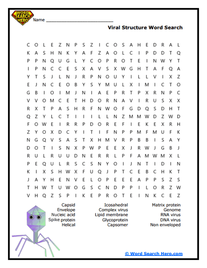Virus Word Searches