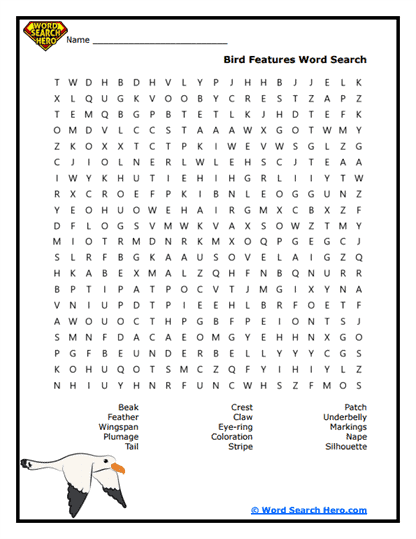 Feather Focus Word Search