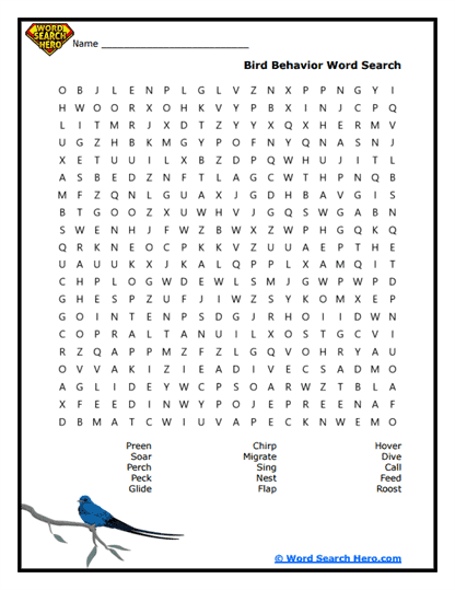 Flight Moves Word Search