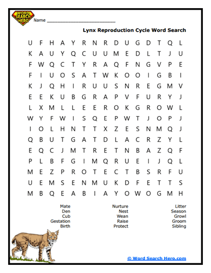 Baby Lynx Word Search