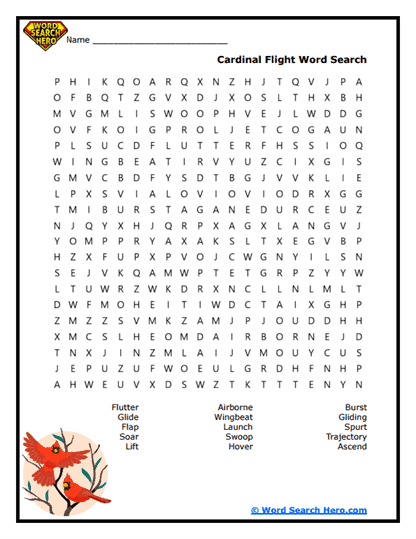 Flight Fun Word Search