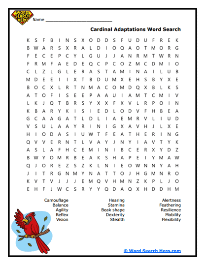 Adaptation Advantage Word Search