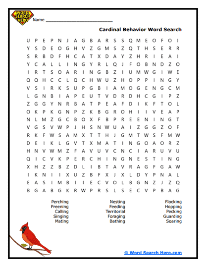 Banking Bunch Word Search