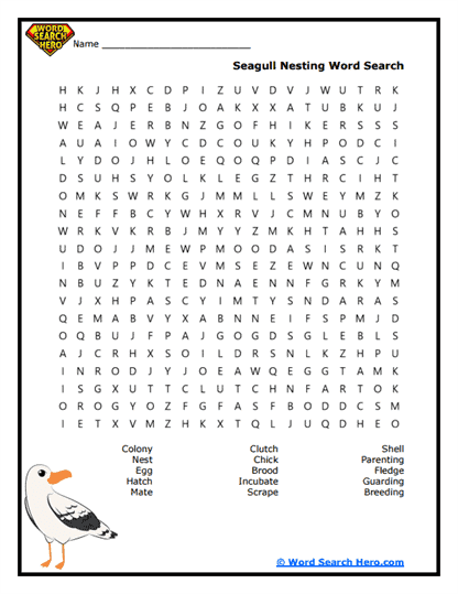 Nest Quests Word Search