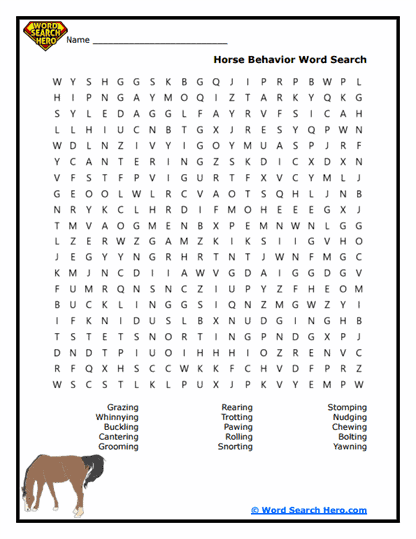 Sporty Saddles Word Search