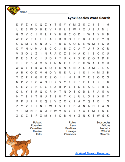Feline Family Word Search