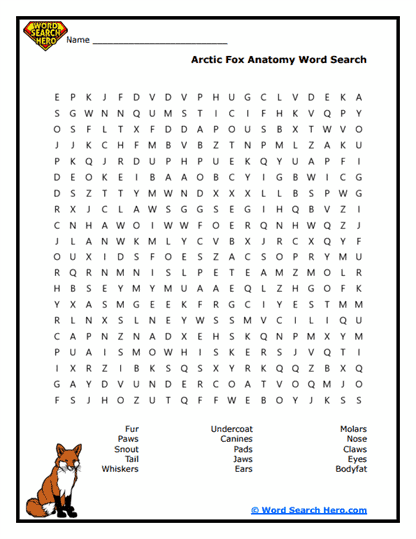 Arctic Fox Word Searches
