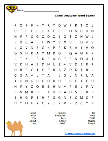 Camel Word Searches