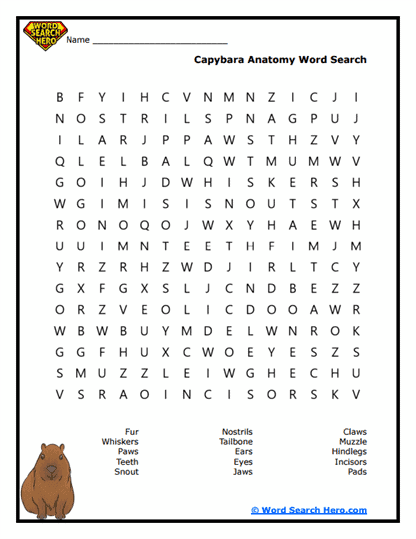 Capybara Word Searches