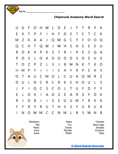 Chipmunk Word Searches