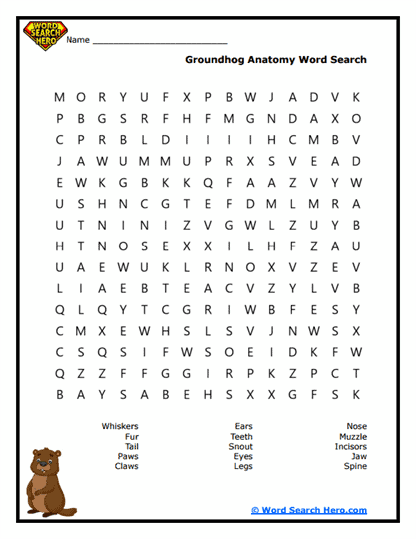 Groundhog Word Searches