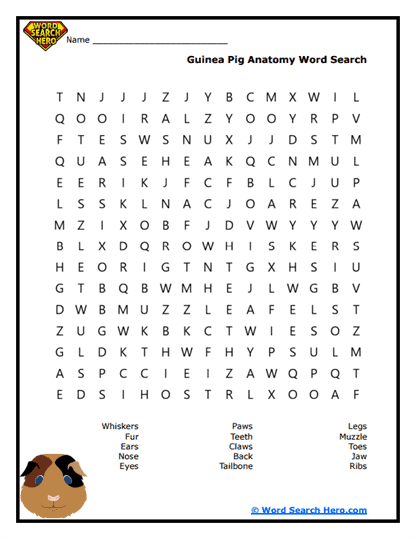 Guinea Pig Word Searches