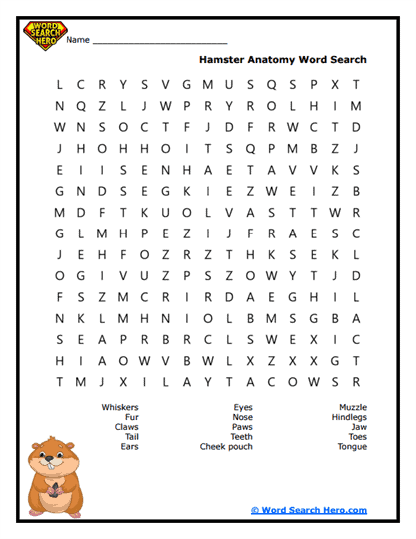 Hamster Word Searches