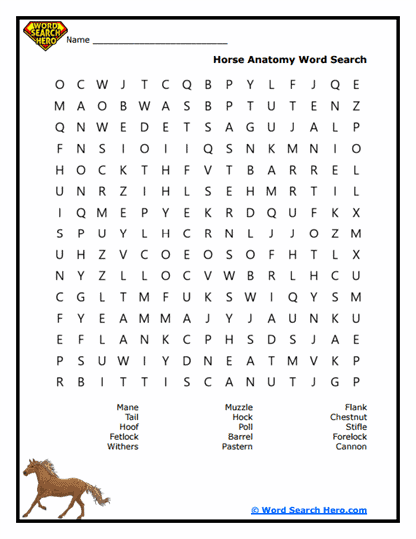 Creature Design Word Search