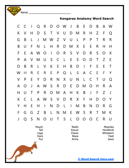 Kangaroo Word Searches