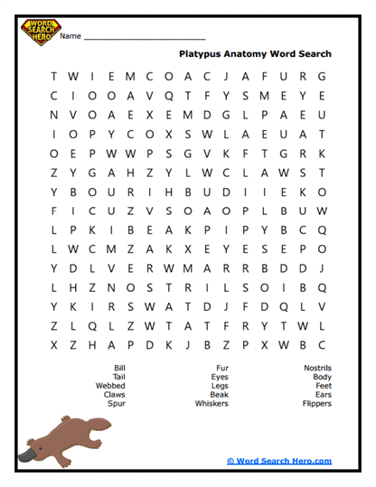 Platypus Word Searches