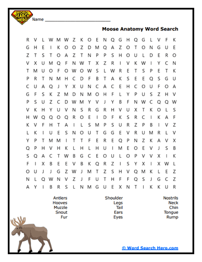 Moose Word Searches
