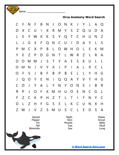 Flipper Zone Word Search