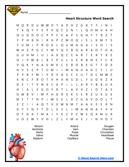 American Heart Month Word Searches