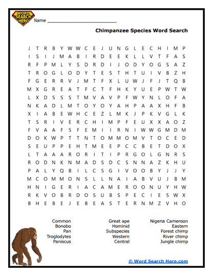 Chimpanzee Word Searches