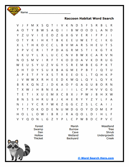 Raccoon Word Searches