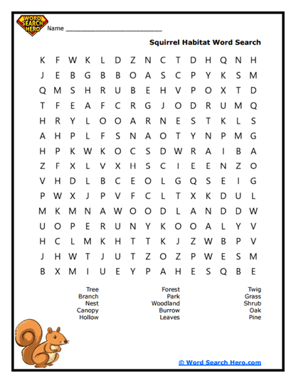 Squirrel Word Searches