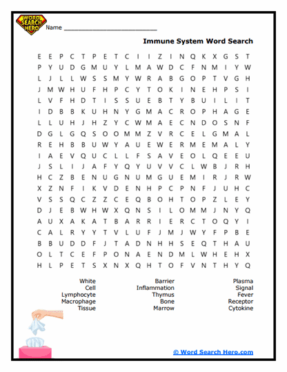 Defense Network Word Search