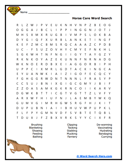 Care Chart Word Search