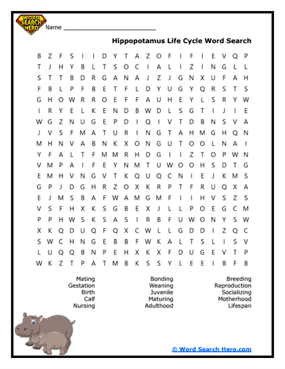 Growth Phases Loop Word Search