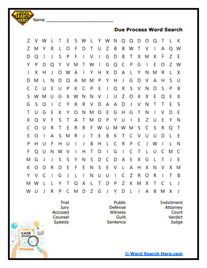 Due Process Word Search