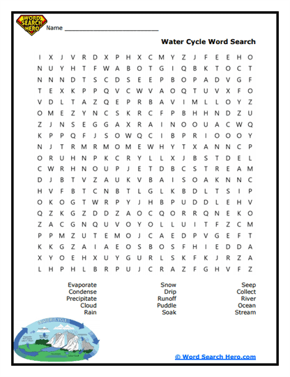 Ecosystem Word Searches