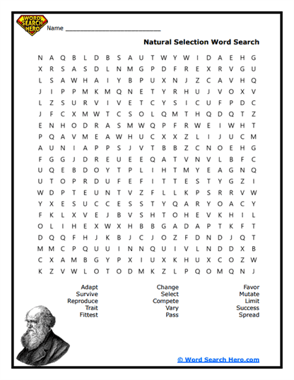 Evolution Word Searches