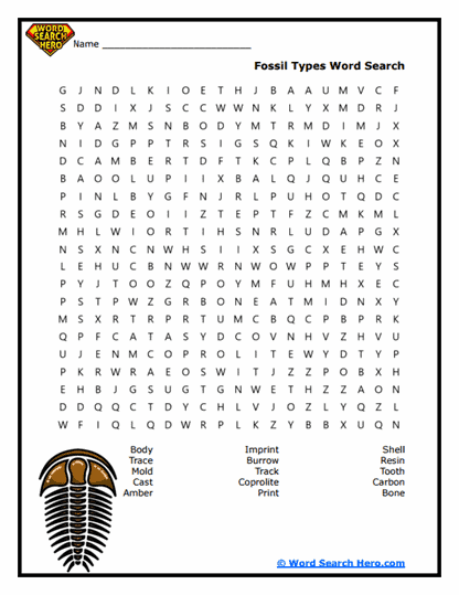 Fossil Record Word Searches