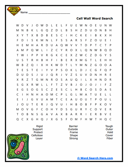 Plant Cell Word Searches