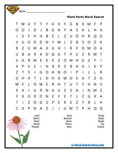 Leafy Puzzle Word Search