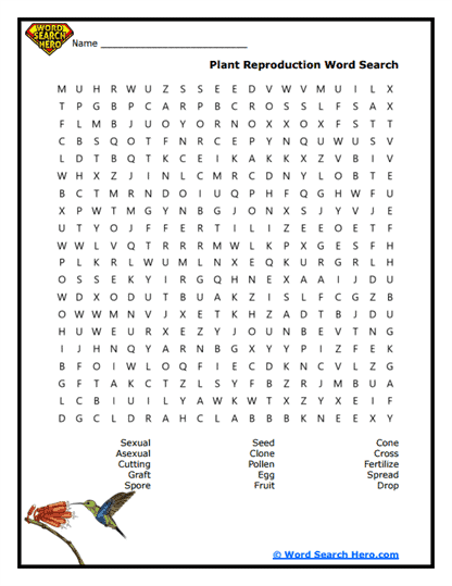 Repro Roots Word Search