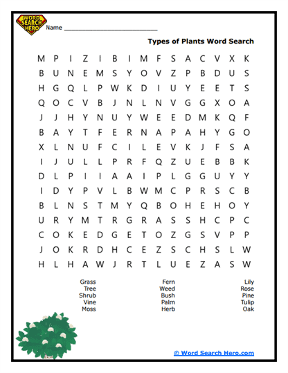 Plant Parade Word Search