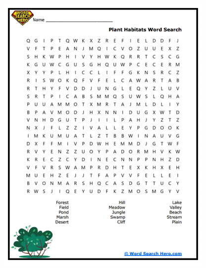 Nature Nook Search Word Search