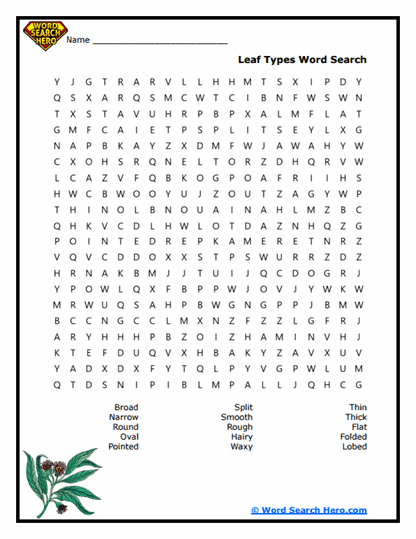 Leaf Lab Word Search