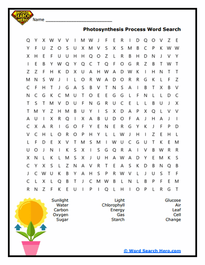 Sunny Science Word Search